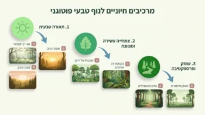 זוג בצילומי סייב דה דייט ביערות הכרמל