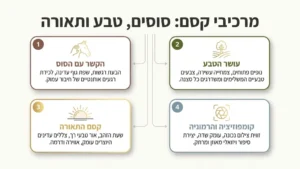 נערה מצטלמת עם סוס בטבע ביום צילומי בת מצווה
